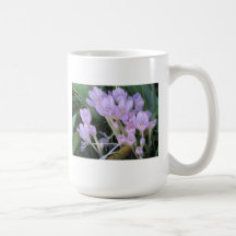 Crocus Mug