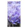 Crocus Photo Card