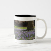 Crocus pourpres DSC5434 Tasse À Café