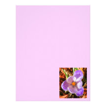 Crocus Stationary / Letterhead