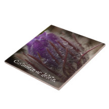 Crocus with Water Beads; Customizable Tiles