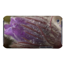 Crocus with Water Beads iPod Case-Mate Cases