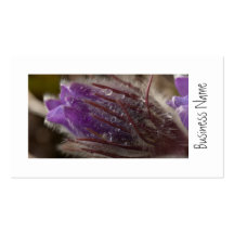 Crocus with Water Beads; Promotional Business Card Templates