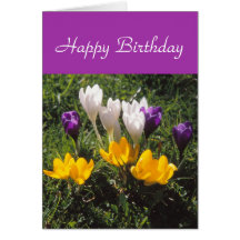 Crocuses card