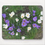 Crocuses Mouse Pads