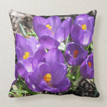 Crocuses pillow