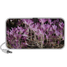 Crocuses Speaker System