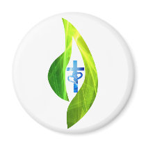 Croix bleue dans flamme verte fridge magnets