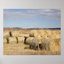 Crook County, Hay Bales 2 Print