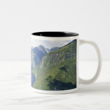 Crooked Arm, Malaspina Reach, Doubtful Sound, Mug