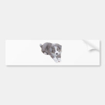 croppedimageofpup bumper stickers