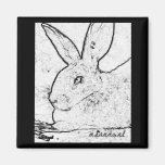 Croquis doux d'un aimant géant doux