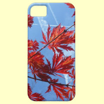 Cross fire casemate cases