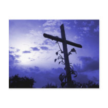 Cross of Jesus I am the Vine Christian Post Card