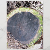 Cross-section of redwood personalized flyer