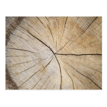Cross section of tree trunk post cards