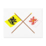 Crossed Flanders and Limburg Flags