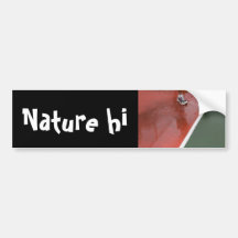 crossing the line bumper sticker