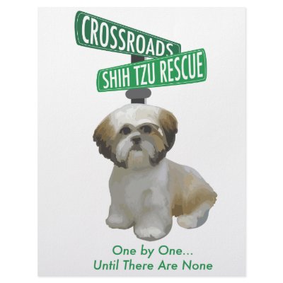 Crossroads ShihTzu Rescue Letterhead by crossroadsrescue