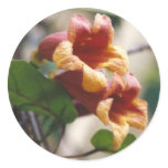 Crossvine Sticker