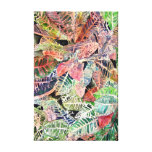 croton tropical botanical art beach prints canvas print