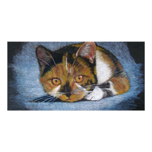 CROUCHING CAT: COLOR PENCIL PHOTO GREETING CARD