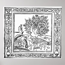 Crow and Peacock Aesop's Fables Engraving Print
