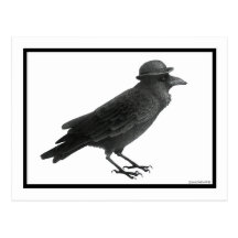 Crow Art Post Card