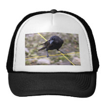 Crow at Crossroads Mesh Hats
