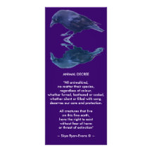 CROW Collection Rack Card Design
