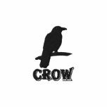 Crow Embroidered Sport Jacket