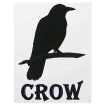 Crow Custom Flyer