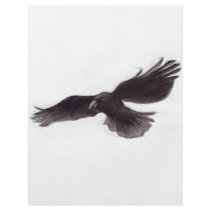 Crow Custom Flyer
