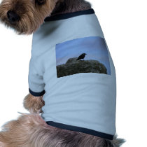 Crow guardian of Stone Henge Pet T-shirt