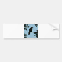 Crow Sitting in Tree Bumper Sticker