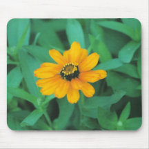 crown gold mousepad