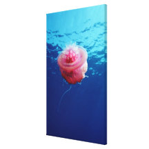 Crown Jellyfish Canvas Print