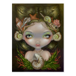 "Crown of Shells" Postcard