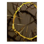 Crown of Thorns Postcard