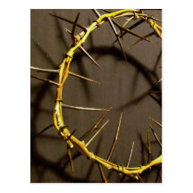 Crown of Thorns Postcard