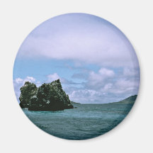 Crown of Thorns Reef, Galapagos Isl. Refrigerator Magnets