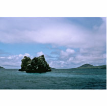 Crown of Thorns Reef, Galapagos Isl. Cut Out