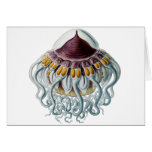 Crown or Helmet Jellyfish Card