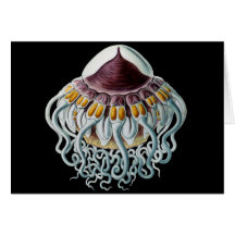 Crown or Helmet Jellyfish Greeting Card