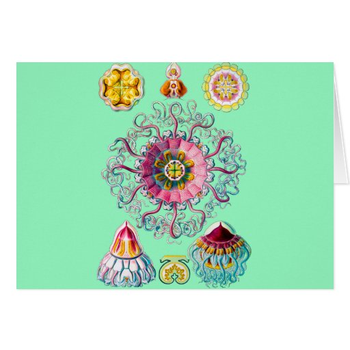 Crown or Helmet Jellyfish Greeting Cards