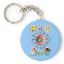 Crown or Helmet Jellyfish Key Chains