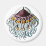 Crown or Helmet Jellyfish Magnets