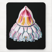Crown or Helmet Jellyfish Mouse Pads
