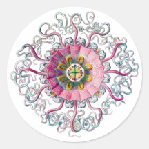 Crown or Helmet Jellyfish Sticker