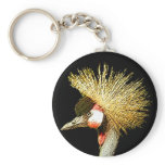 Crowned Crane from Junglewalk.com